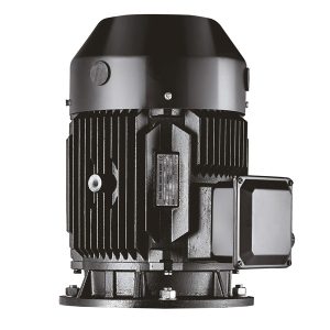 Tesk Vertical multistage motor (B14 Flange) 0.75kW 400V