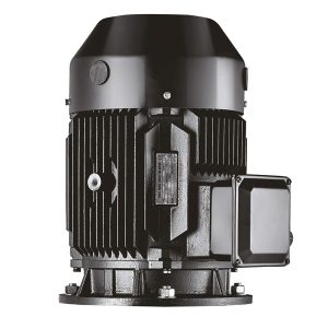 Tesk Vertical multistage motor (B14 Flange) 2.2kW 400V