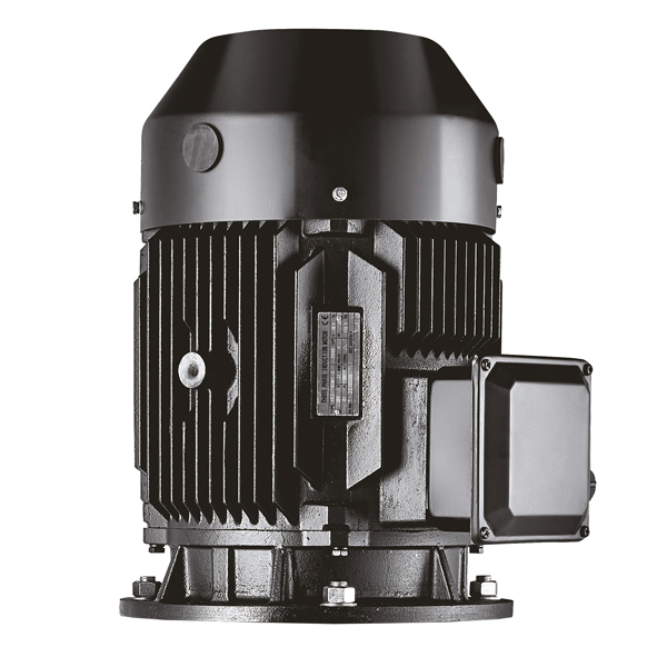 Tesk Vertical multistage motor (B5 Flange) 75kW 400V